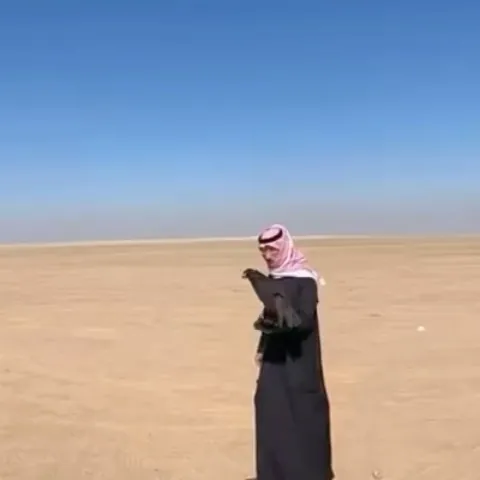 A falconer in a white dishdasha and red-checked ghutra holding a falcon in open desert