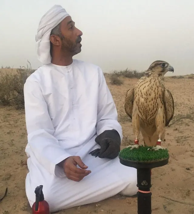 A falconer in white kandura and ghutra seated on the sand beside a brown falcon on a block perch