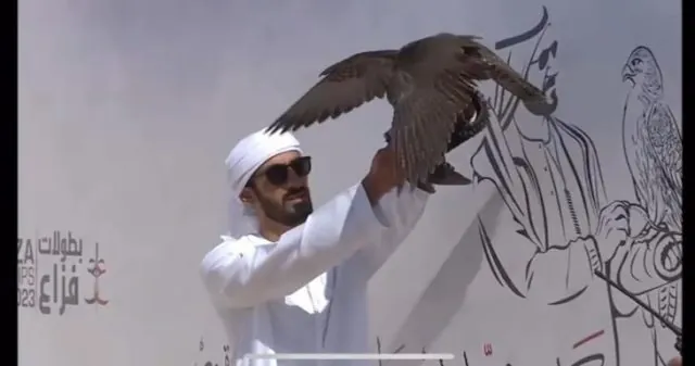 A falcon leaving the fist, wings spread, against a sketched backdrop